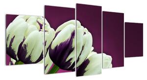 Makro tulipánů - obraz (150x70cm)