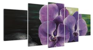 Obraz květů orchideje (150x70cm)
