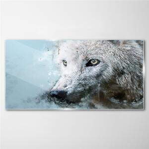 Obraz na skle Obraz na skle Divoký zvířecí vlk