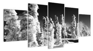 Obraz - zimní hory (150x70cm)