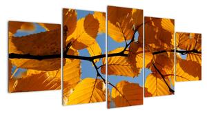 Podzimní listí - obraz (150x70cm)