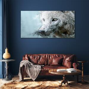 Obraz na skle Obraz na skle Divoký zvířecí vlk