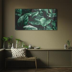 Obraz na skle Obraz na skle Listy rostlin květin