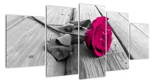 Obrazy květin - růže (150x70cm)