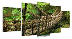 Obraz - most v přírodě (150x70cm)