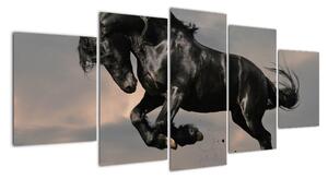 Černý kůň, obraz (150x70cm)