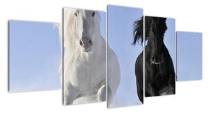 Koně, obraz (150x70cm)