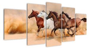 Obraz kůň (150x70cm)