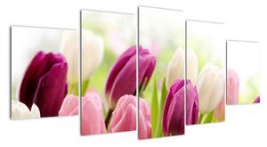 Tulipány, obrazy (150x70cm)