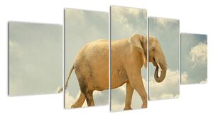 Slon na laně, obraz (150x70cm)