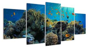 Obraz podmořského světa (150x70cm)
