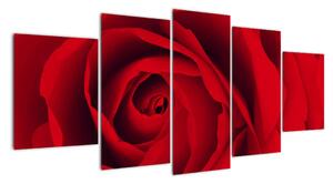 Detail červené růže - obraz (150x70cm)