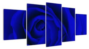 Detail modré růže - obraz (150x70cm)