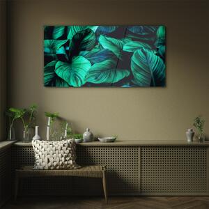Obraz na skle Obraz na skle Květinové listy rostlin