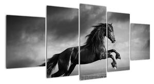 Obraz koně na stěnu (150x70cm)