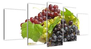Hroznové víno - obrazy (150x70cm)