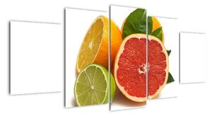 Citrusové plody - obraz (150x70cm)