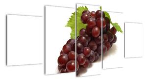 Hroznové víno, obraz (150x70cm)