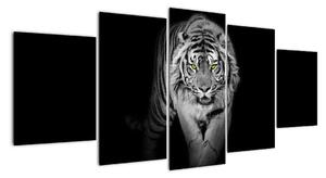 Tygr černobílý, obraz (150x70cm)