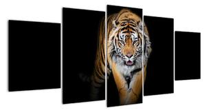 Tygr, obraz (150x70cm)