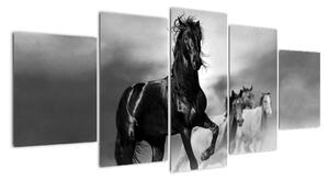 Černobílý obraz koňů (150x70cm)
