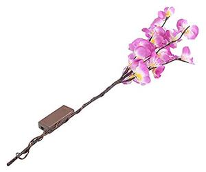 Svítící větvičky orchideje