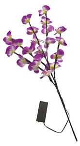 Svítící větvičky orchideje