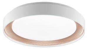 Brilliant - LED Stm stropní svítidlo WALDO LED/24W/230V bílá/rose gold + DO