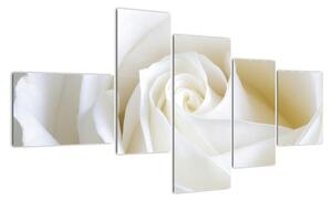 Obraz bílé růže (150x85cm)