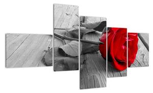 Obraz růže s červeným květem (150x85cm)