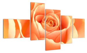 Obraz oranžové růže (150x85cm)