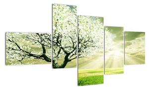Jarní strom - moderní obraz (150x85cm)