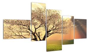 Obraz přírody - strom (150x85cm)