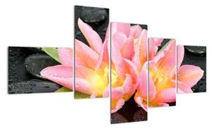 Obraz květů (150x85cm)