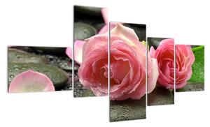 Obraz růže (150x85cm)