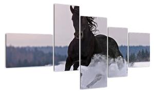 Obraz koně ve sněhu (150x85cm)