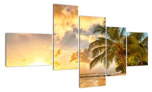 Obraz palmy na písečné pláži (150x85cm)