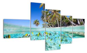 Obraz tropického moře (150x85cm)