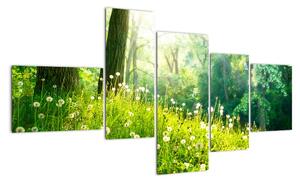 Moderní obrazy přírody (150x85cm)