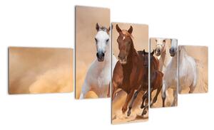 Obrazy běžících koní (150x85cm)