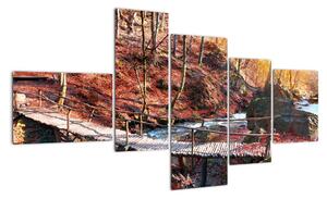 Obraz mostu - podzimní cesta lesem (150x85cm)