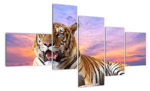 Obraz ležícího tygra (150x85cm)
