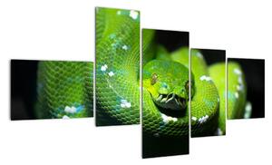 Obraz zvířat - had (150x85cm)