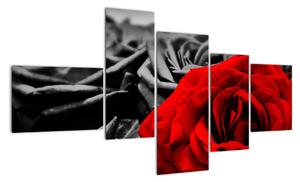 Obraz červené růže (150x85cm)