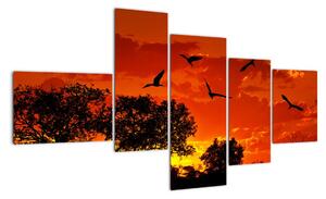 Obraz zapadajícího slunce s ptáky (150x85cm)