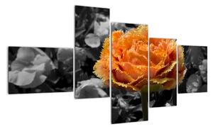 Oranžový květ na černobílém pozadí - obraz (150x85cm)