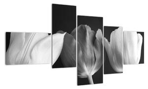 Černobílý obraz - tři tulipány (150x85cm)