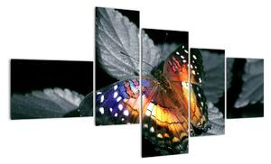 Motýl na listu - obraz (150x85cm)