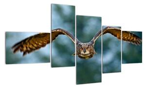 Obraz letící sovy (150x85cm)