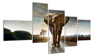 Obraz kráčejícího slona (150x85cm)